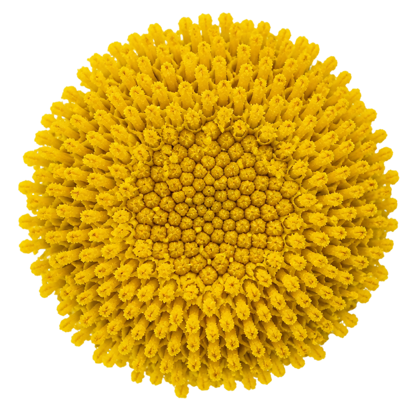Bloom core